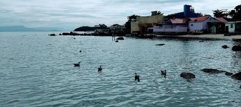 Se você está em busca de um destino sereno para se conectar com a natureza, a Praia da Sinhá