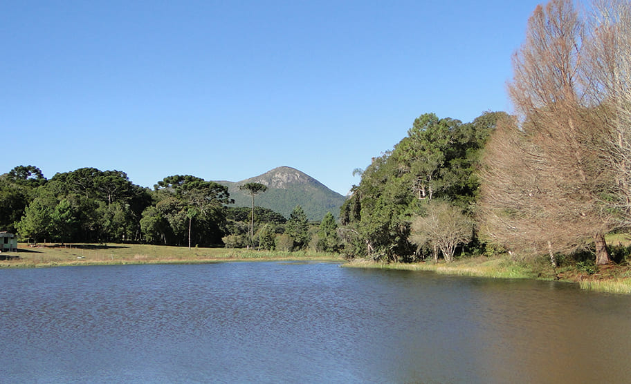 , Quatro Barras, Paraná, oferece muito além de suas paisagens. Sua produção local, representada pelo doce de leite orgânico