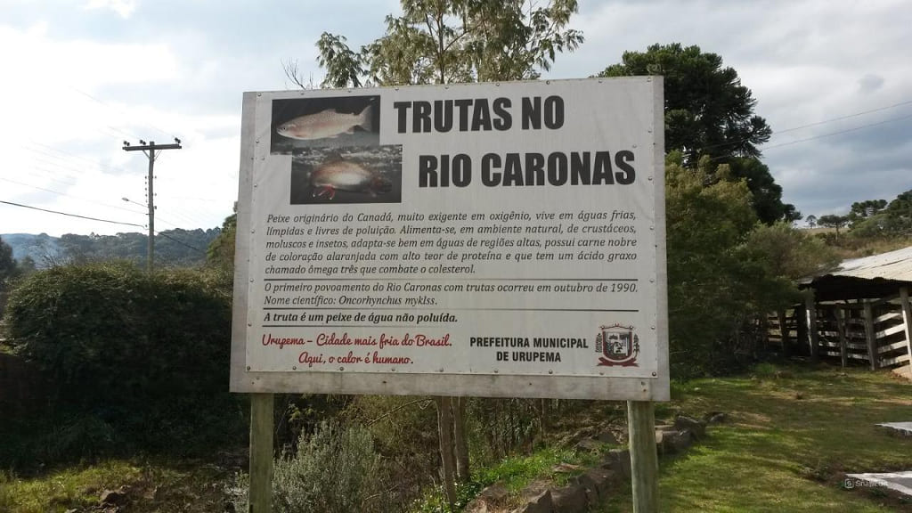 Uma atração que não pode faltar no seu roteiro é o Gaio’s Parque das Trutas